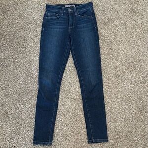 Joe's Jeans Blue Skinny Fit Classic